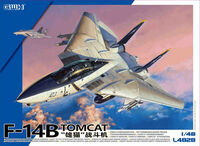 US Navy F-14B Tomcat - Image 1