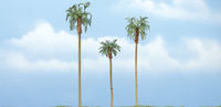 Royal Palm - Image 1