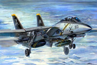Grumman F-14B Tomcat - Image 1